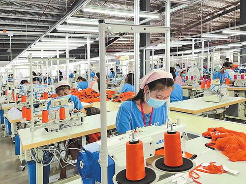 中老經濟走廊活力澎湃